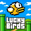 Análisis de Lucky Birds de BGaming